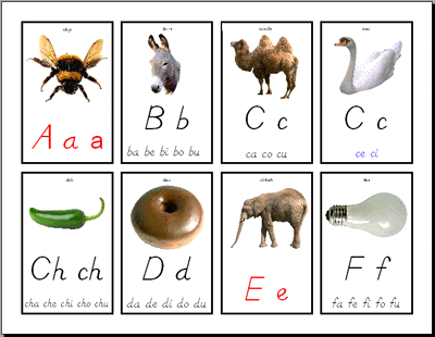Alphabet Cards with Real Objects- Item #2