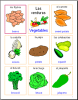 Set 4: Thematic Vocabulary Cards- Item #26